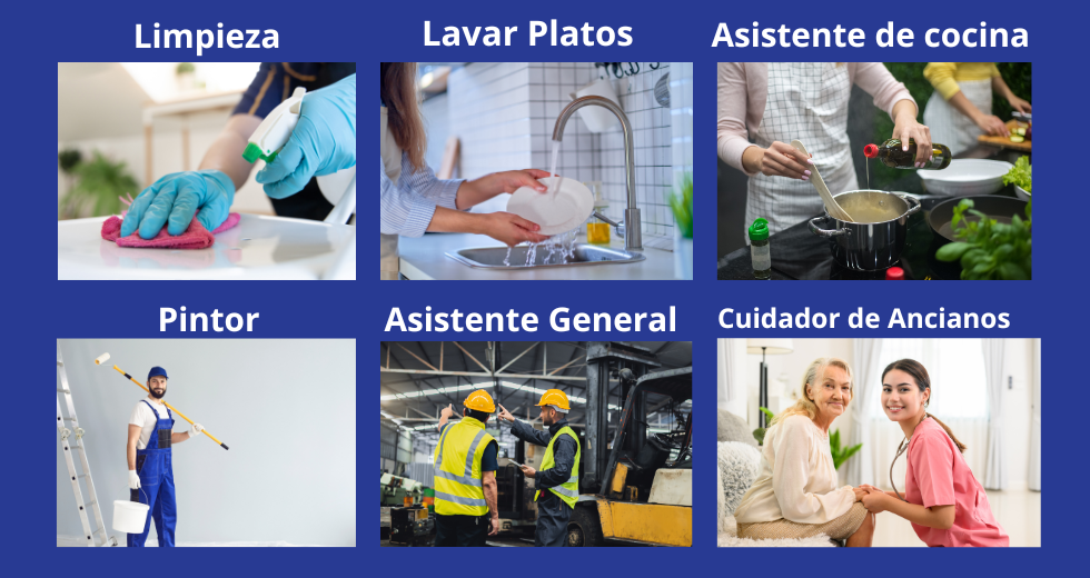 Ver todas las Vacantes (6)